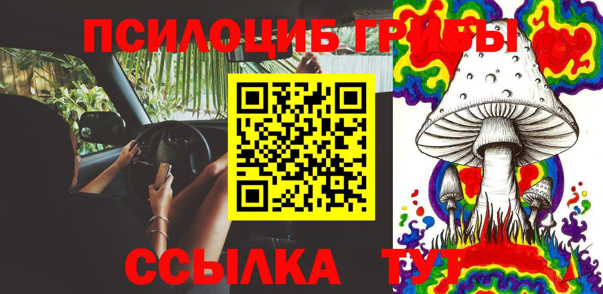 Псилоцибиновые грибы ЛСД  Псилоцибиновые грибы мицелий  Уварово  даркнет сайт  Вход с VPN 